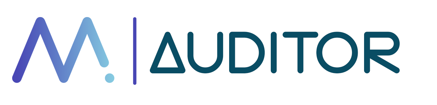 Mitra Auditor